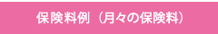 保険料例  （月々の保険料）