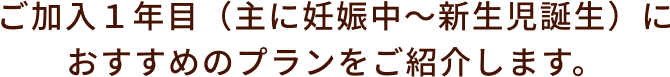 ご加入１年目（主に妊娠中～新生児誕生）におすすめのプランをご紹介します。