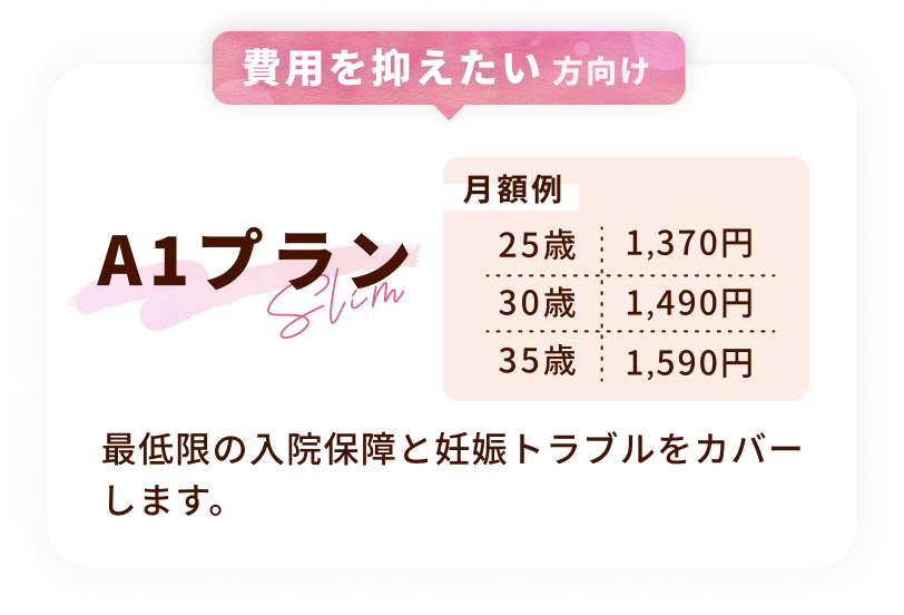 費用を抑えたい方向け A1プラン