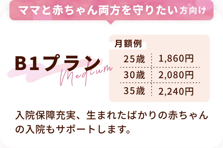 ママと赤ちゃん両方を守りたい方向け B1プラン